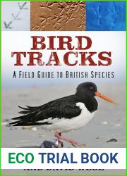 Bird Tracks: A Field Guide to British Species