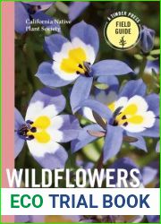 Wildflowers of California