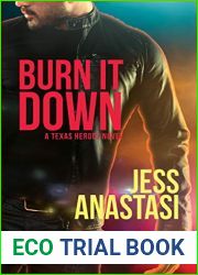 Burn It Down (Texas Heroes, #3)