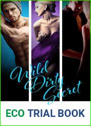 Wild Dirty Secret (Chicago Underground, #4-6)
