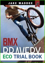 BMX Bravery (Jake Maddox JV)