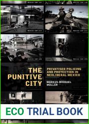 The Punitive City: Privatized Policing and Protection in Neoliberal Mexico