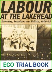 Labour at the Lakehead: Ethnicity, Socialism, and Politics, 1900-35