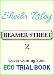 A Safe Haven on Beamer Street: The BRAND NEW gripping, emotional saga series from Sheila Riley for 2024