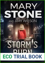 Storm|s Burn (Amelia Storm #12)