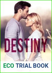 Destiny: A Small Town Single Dad Romance