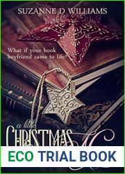 A Little Christmas Magic: The Cowboy and The Librarian