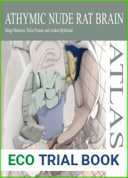 Athymic Nude Rat Brain Atlas