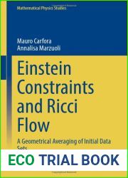 Einstein Constraints and Ricci Flow: A Geometrical Averaging of Initial Data Sets (Mathematical Physics Studies)