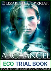 Archangel Errant (Earthbound Angels, #3)