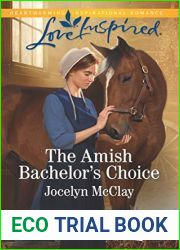 The Amish Bachelor|s Choice