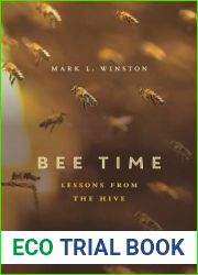 Bee Time: Lessons from the Hive