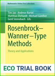 Rosenbrock - Wanner-Type Methods: Theory and Applications (Mathematics Online First Collections)