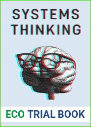 Systems Thinking: A Practical Guide to Improving Your Reasoning. Think in Mental Models, Become a Better Critical and Analytical Thinker. Develop Effective Decision-Making and Problem-Solving Skills