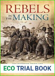 Rebels in the Making: The Secession Crisis and the Birth of the Confederacy