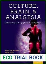Culture, Brain, and Analgesia: Understanding and Managing Pain in Diverse Populations