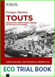 Touts: Recruiting Indentured Labour in the Gulf of Guinea (Work in Global and Historical Perspective, 14)