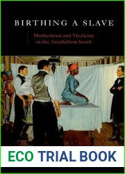 Birthing a Slave by Marie Jenkins Schwartz (2-Jul-1905) Paperback