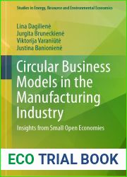 Circular Business Models in the Manufacturing Industry: Insights from Small Open Economies (Studies in Energy, Resource and Environmental Economics)