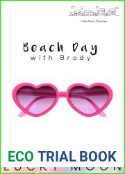 Beach Day with Brody (Little Rock Daddies #7)