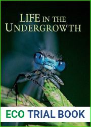 Life in the Undergrowth