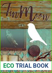Tin Moon: A Southern Coming-of-Age Saga