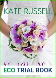 Need You Now (Sweethearts of Sumner County, #4)