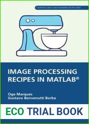 Image Processing Recipes in MATLAB