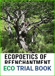 Ecopoetics of Reenchantment: Liminal Realism and Poetic Echoes of the Earth (Ecocritical Theory and Practice)
