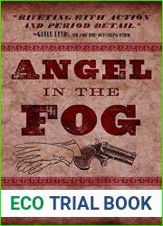 Angel in the Fog (Lincoln|s Bodyguard #3)