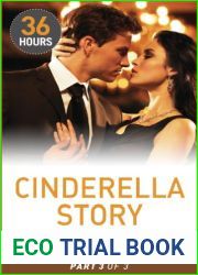 Cinderella Story Part 3 (36 Hours)