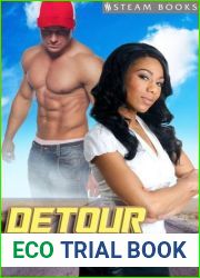 Detour