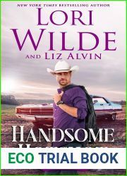 Handsome Hotshot: A humorous romantic comedy (Handsome Devils Book 5)