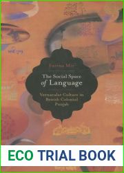 The Social Space of Language: Vernacular Culture in British Colonial Punjab (Volume 2) (South Asia Across the Disciplines)