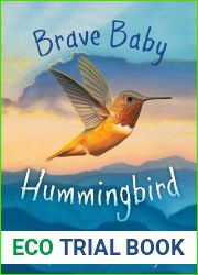 Brave Baby Hummingbird