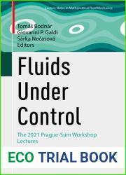 Fluids Under Control: The 2021 Prague-Sum Workshop Lectures (Advances in Mathematical Fluid Mechanics)