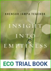 Insight into Emptiness