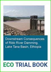 Downstream Consequences of Ribb River Damming, Lake Tana Basin, Ethiopia (IHE Delft PhD Thesis Series)