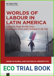 Worlds of Labour in Latin America (Work in Global and Historical Perspective, 13)