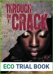 Through the Crack: A Novel