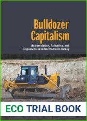 Bulldozer Capitalism: Accumulation, Ruination, and Dispossession in Northeastern Turkey (Dislocations, 31)