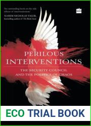 Perilous Interventions: The Security Council and the Politics of Chaos