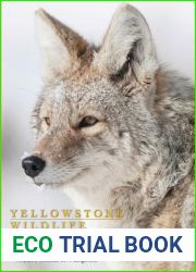 Yellowstone Wildlife: Ecology and Natural History of the Greater Yellowstone Ecosystem