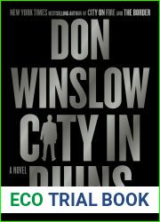 City in Ruins (Danny Ryan, #3)