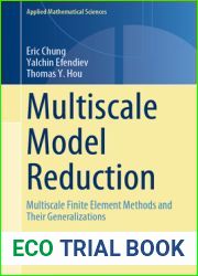 Multiscale Model Reduction: Multiscale Finite Element Methods and Their Generalizations (Applied Mathematical Sciences, 212)