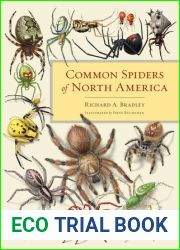 Common Spiders of North America