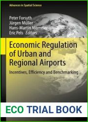 Economic Regulation of Urban and Regional Airports: Incentives, Efficiency and Benchmarking (Advances in Spatial Science)