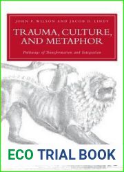 Trauma, Culture, and Metaphor: Pathways of Transformation and Integration (Psychosocial Stress Series)