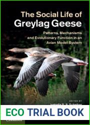The Social Life of Greylag Geese