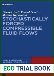 Stochastically Forced Compressible Fluid Flows (De Gruyter Series in Applied and Numerical Mathematics)